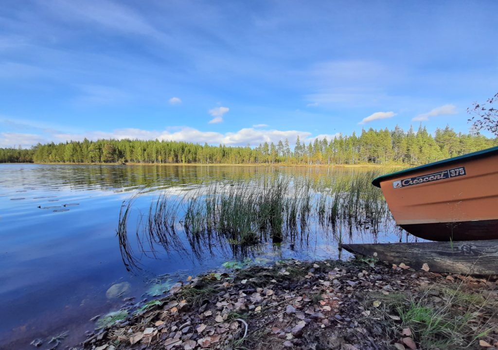 Mittelschweden