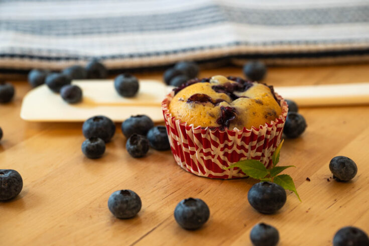 Blaubeer-Muffin