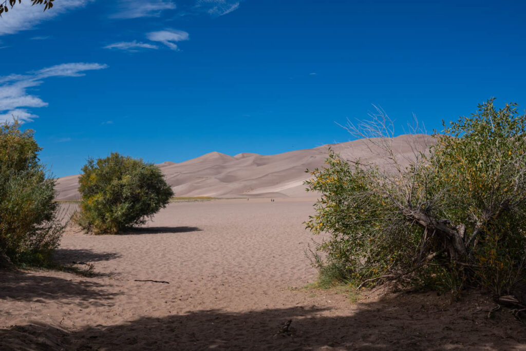 sand dunes np